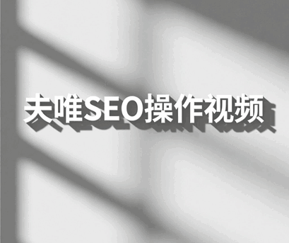 夫唯SEO操作视频课程培训教程-1