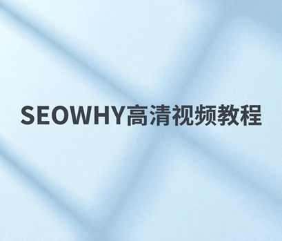 seo研究中心vip课程 高清视频培训教程-1